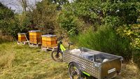 Naturfreundliche mobile Werkstatt am Bienenstand